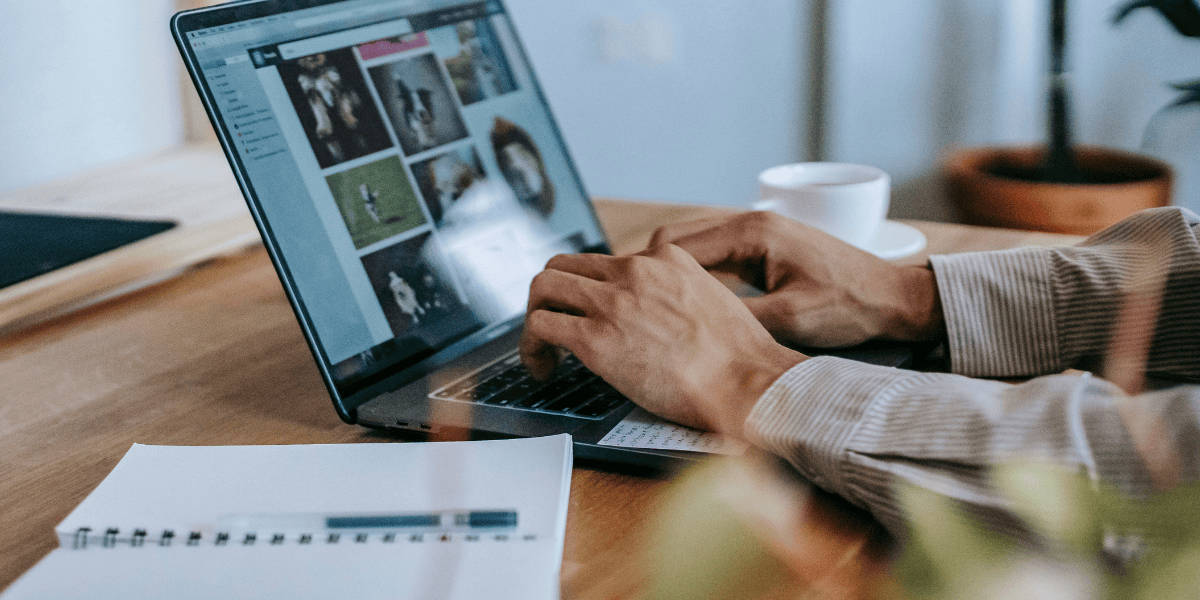 A blogger at work