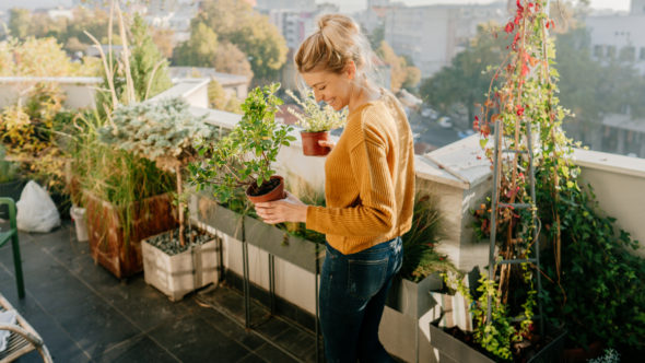 A woman planting new plants, plant patents concept